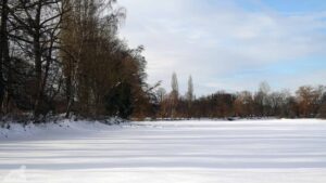 Riddagshäuser Teiche - Kreuzteich
