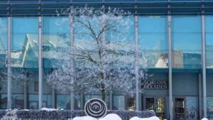 Baum mit Raureif vor der Fassade der Schloß-Arkaden