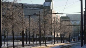 Mit Masten zugestellter Bohlweg