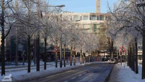 raureifbedeckte Bäume im Bohlweg