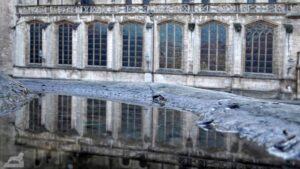 Spiegelung des Nordflügels des Doms in der Sockelrinne des Burglöwen