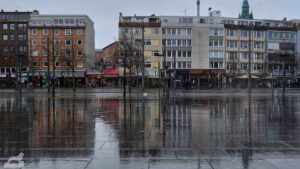 Spiegelung des Bohlwegs