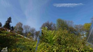 Wolfsburg ♦ Schloßpark