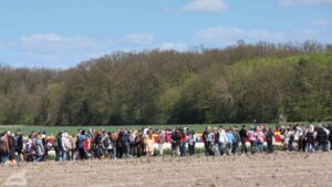 Vordorf - Besucherschlange am Tulpenfeld