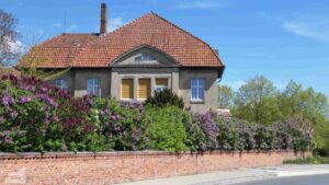 Vordorf - Eickhorst ♦ Dorfstraße
