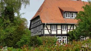 Schapen - Am Lindenberg