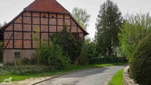 Schapen - Am Lindenberg