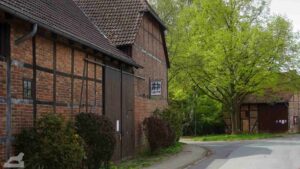 Schapen - Lindenallee (Landwirtschaftsmuseum)