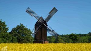Abbenrode ♦ Windmühle