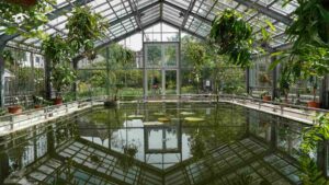 Botanischer Garten - Gewächshaus