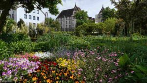 Botanischer Garten