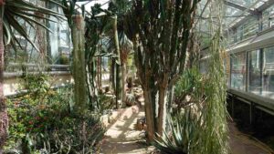 Botanischer Garten - Kakteenhaus