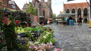 Markt auf dem Altstadtmarkt