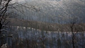 Bad Harzburg ♦ Burgberg
