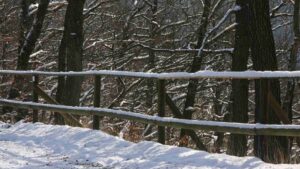 Bad Harzburg ♦ Burgberg