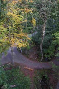 Bad Harzburg ♦ Baumwipfelpfad
