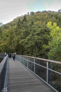 Bad Harzburg ♦ Baumwipfelpfad