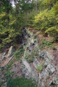 Bad Harzburg ♦ Baumwipfelpfad