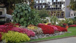 Bad Harzburg ♦ oberer Badepark