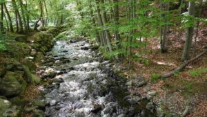 Bad Harzburg ♦ Radau