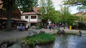 Bad Harzburg ♦ Herzog-Wilhelm-Straße