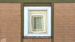 Fenster der gegenüberliegenden Straßeseite spiegel sich im Fenster (Sonnenstraße)