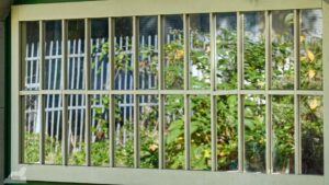 Pflanzen spiegeln sich im Elsterflohmark (Sonnenstraße)